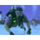 Referral Checkout Dives for Certification PADI or NAUI