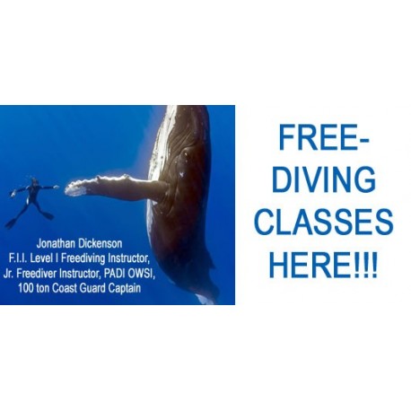 Free Diving Class - Breath hold Diving Certification Course